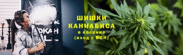 шишки Абаза