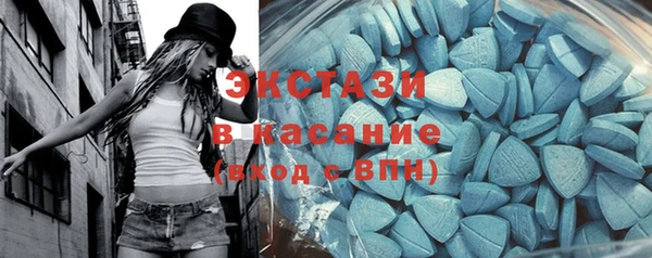 шишки Абаза