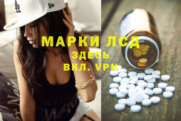 шишки Абаза