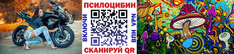 наркошоп  Ак-Довурак  Псилоцибиновые грибы Cubensis 